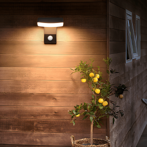 MARS2726 Black Motion Sensor Outdoor Wall Light - Rotatable